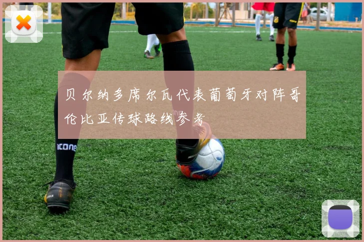 贝尔纳多席尔瓦代表葡萄牙对阵哥伦比亚传球路线参考